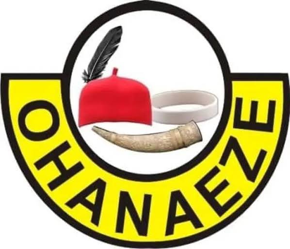 Ohanaeze Ndigbo approves bursary for 200 students