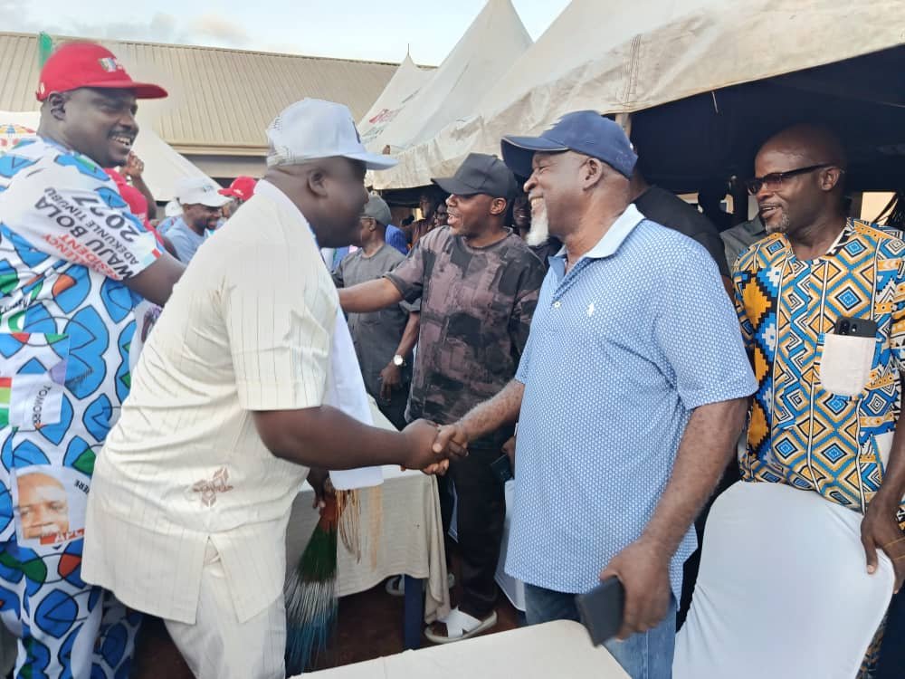Enugu South: Ani Takes Re-election Campaign to Four Wards
