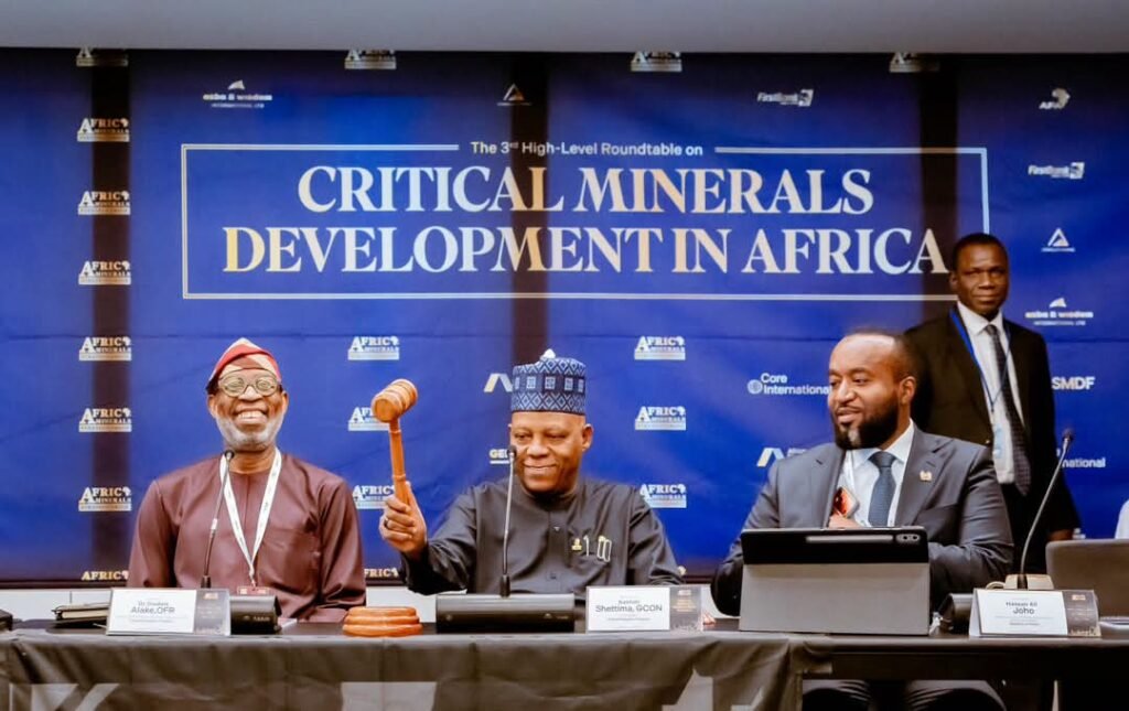 Tinubu urges African nations to unite on mineral value addition