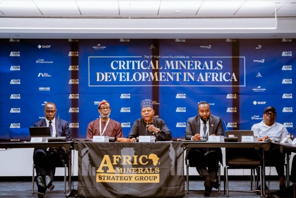 Tinubu urges African nations to unite on mineral value addition