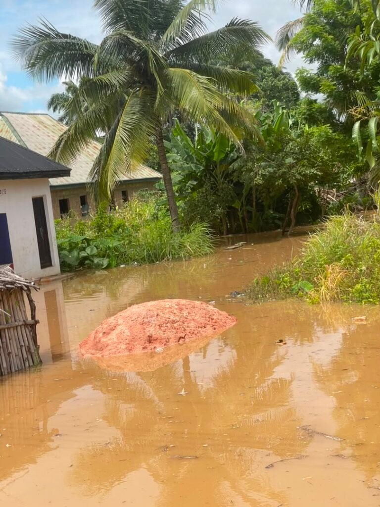 Flood Ravages Four Communities in Enugu