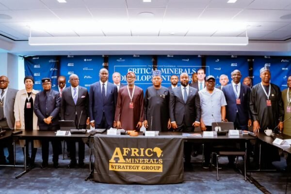 Tinubu urges African nations to unite on mineral value addition