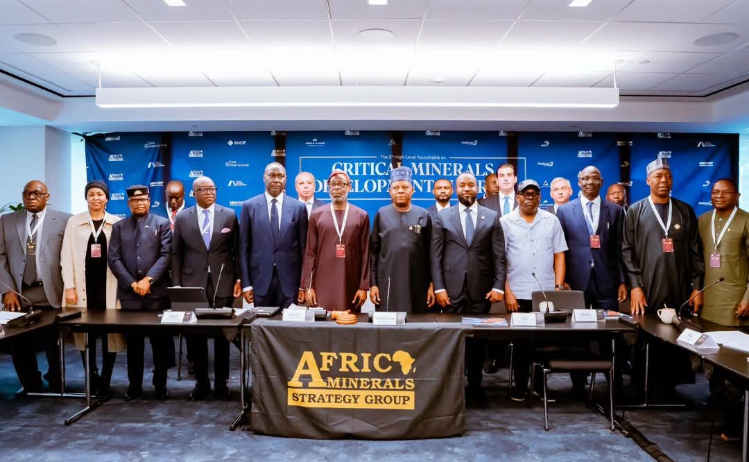 Tinubu urges African nations to unite on mineral value addition