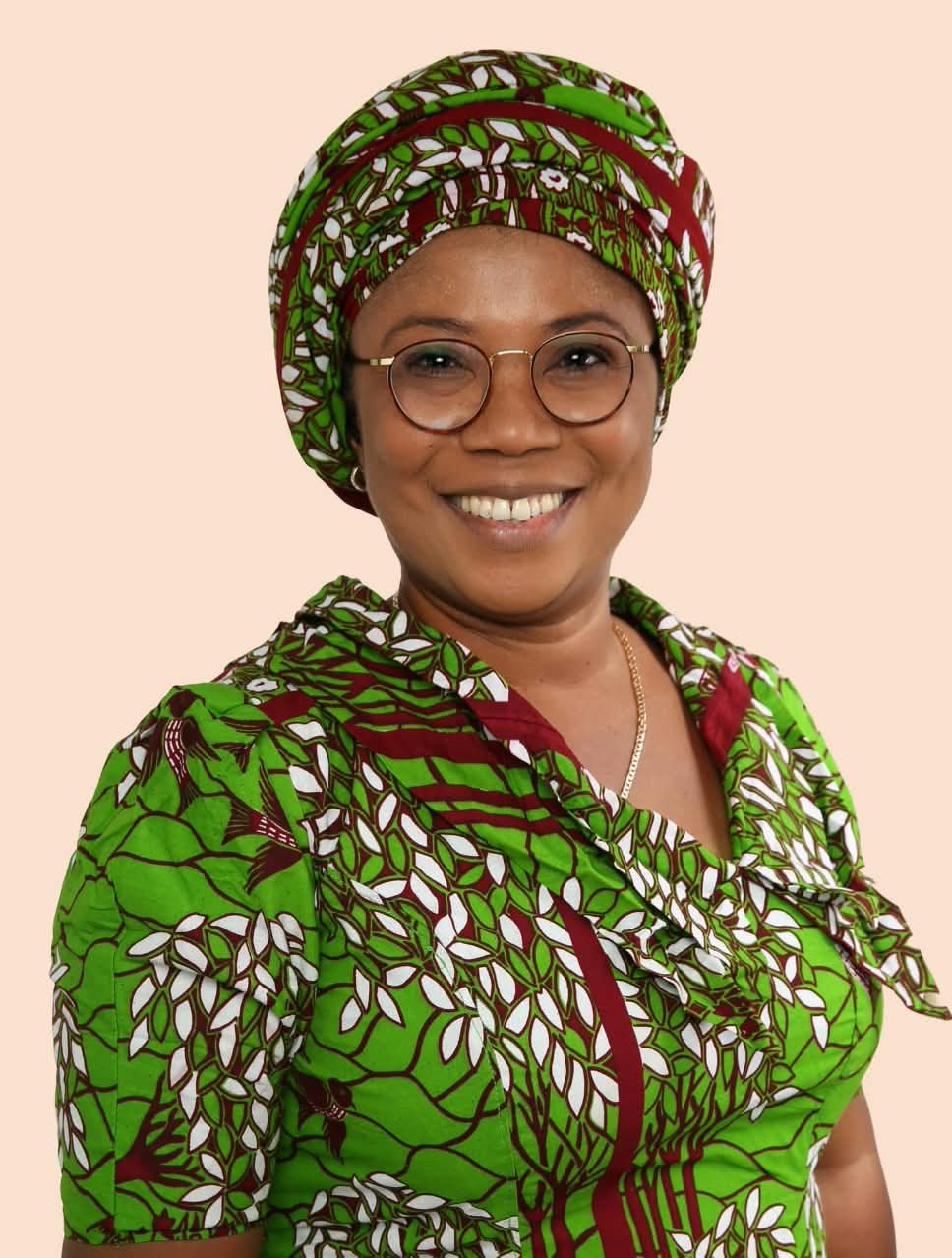 Better Ghana is possible — Baku