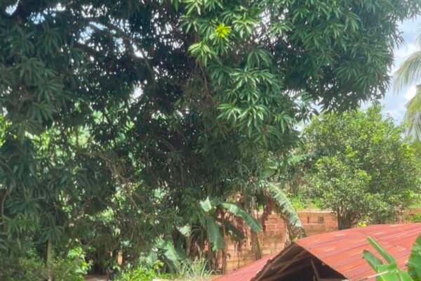 Flood Ravages Four Communities in Enugu