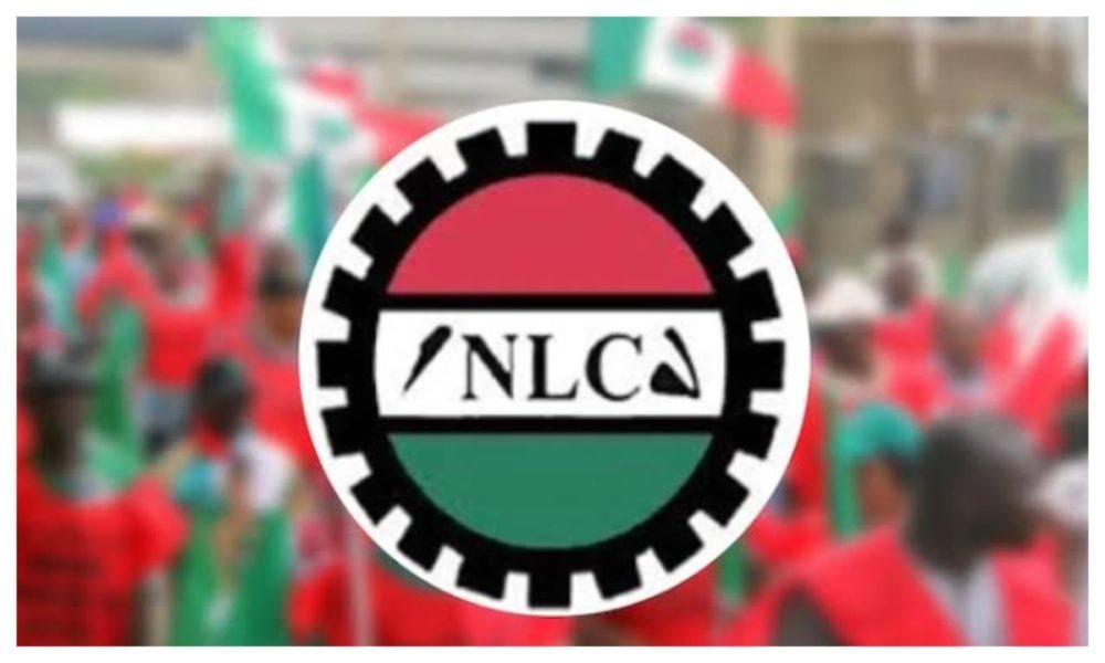 NLC Reacts to Reported Blockage of Peter Obi’s Convoy in Benue