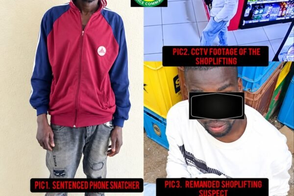 Phone Snatcher Gets Five-Year Jail Term in Enugu