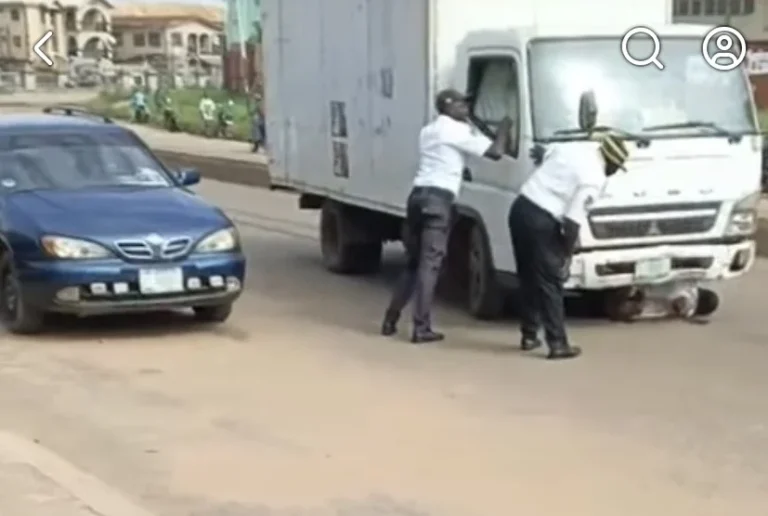 Truck Crushes VIO Officer to Death